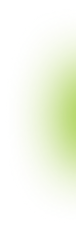 Ellipse 7